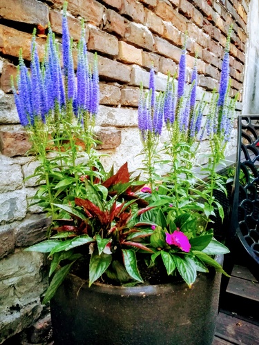 Już czas przygotować balkon na sezon