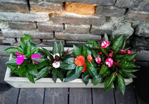 Balkonowe dekoracje z kwiatów