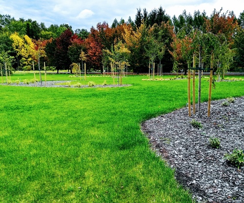 Zadbany trawnik w okresie suszy - co sprawi, że murawa będzie wyglądać jak zielony dywan?