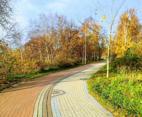 Jak sprawdza się kostka brukowa na ścieżce rowerowej ?