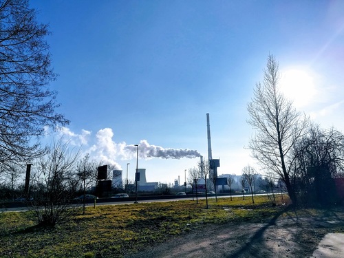 Smog zwiększa ilość zachorowań z powodu koronawirusa