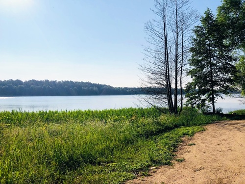 Susza, stres wodny i zmiany klimatu. Polska potrzebuje pilnej przebudowy gospodarki wodnej