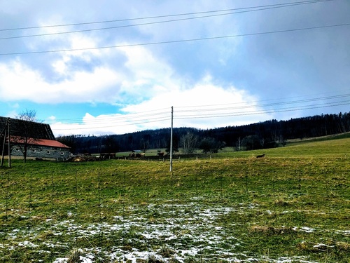 Wykup działki w użytkowaniu wieczystym