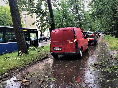 Jak miasta mogą się ustrzec przed skutkami zmian klimatu?