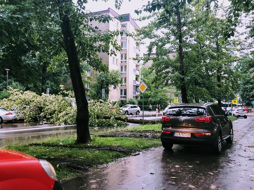 Jak ubepieczyć swoje mienie przed skutkami ekstremalnych zjawisk pogodowych?