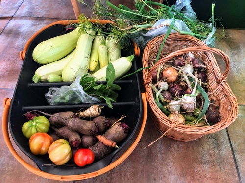 Po pandemii COVID-19 popyt żywność organiczną i bio znacznie wzrósł