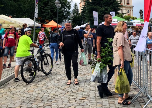 Polacy zaciskają pasa: elektronika, meble i moda na celowniku oszczędności