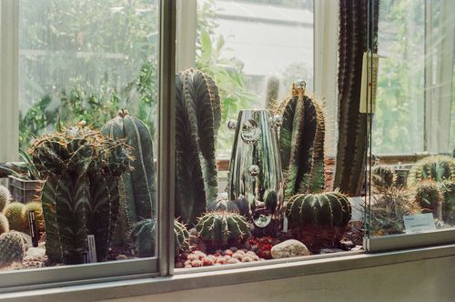 Artystka, prjektanntka Malwina Konopacka otwiera swój showroom w DOMOTECE