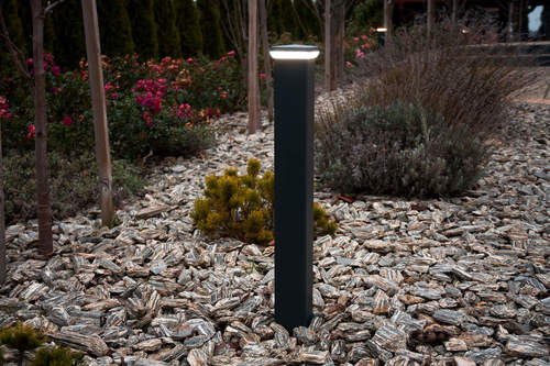 Ładnie oświetlony ogród - na co zwracać uwagę wybierając lampy ogrodowe?