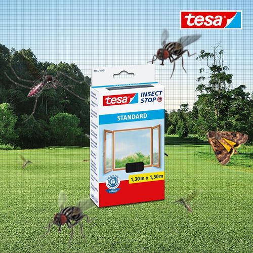 Jak chronić swój dom przed owadami? Łatwy i szybki montaż moskitiery