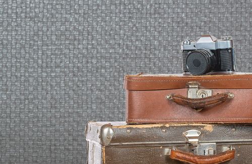Czy tapeta może być zdrowa, ekologiczna i przyjazna środowisku