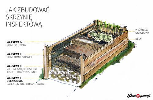 Jak wykonać skrzynie pod ogródek warzywny?