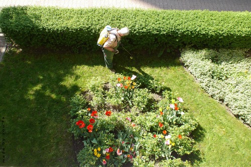 Kiedy opryskiwacz niezbędny jest w ogrodzie - to jaki wybrać