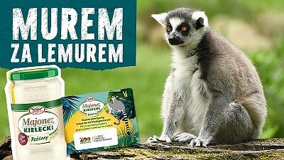 Majonez Kielecki Roślinny oddaje 1% ze sprzedaży na pomoc lemurom