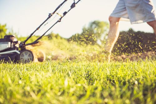 Przygotuj ogród na letnie garden party