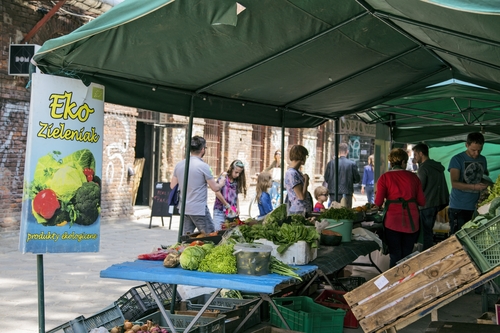 Jak tworzyć zdrowe środowiska pracy - rozwija się nowy trend biofilic