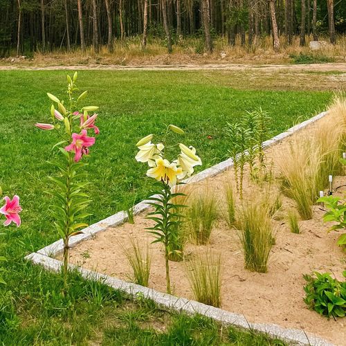 Wiosenne przearanżowanie ogrodu z kamieniem naturalnym