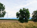Polska wciąż w europejskim ogonie pod względem rozwijania OZE