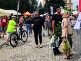 Polacy zaciskają pasa: elektronika, meble i moda na celowniku oszczędności