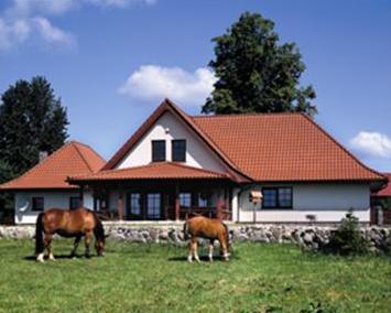 Dach