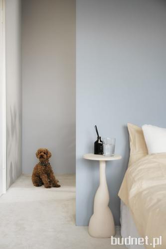 Tikkurila Color Now 