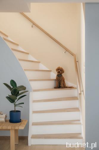 Tikkurila Halo