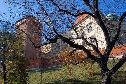 Wawel