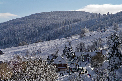 Zieleniec