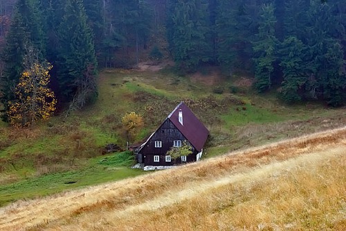 Zieleniec