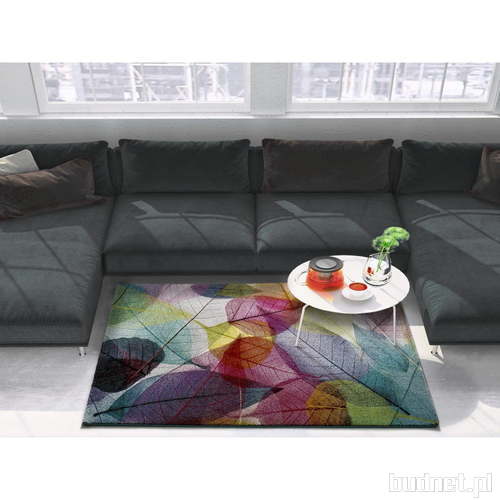Dywan Universal Colors Multi