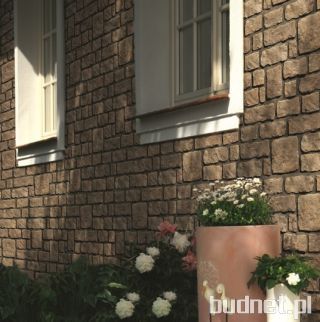 Elewacja wizytówką domu