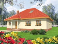 Projekt domu parterowego, dla Nowaka Projekt domu parterowego, dla Nowaka