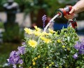 Jak ułatwić sobie podlewanie roślin ogrodowych? Pistolety zraszające. 